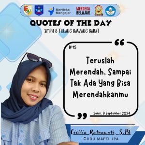 WhatsApp Image 2024-09-10 at 20.08.11 (2)